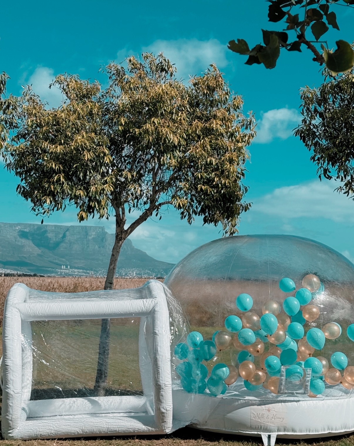 Bubble bounce house with Table Mountain backdrop